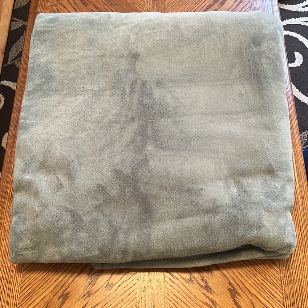 Microplush Bed Blanket Soft Sage Green   Polyester Plush Queen